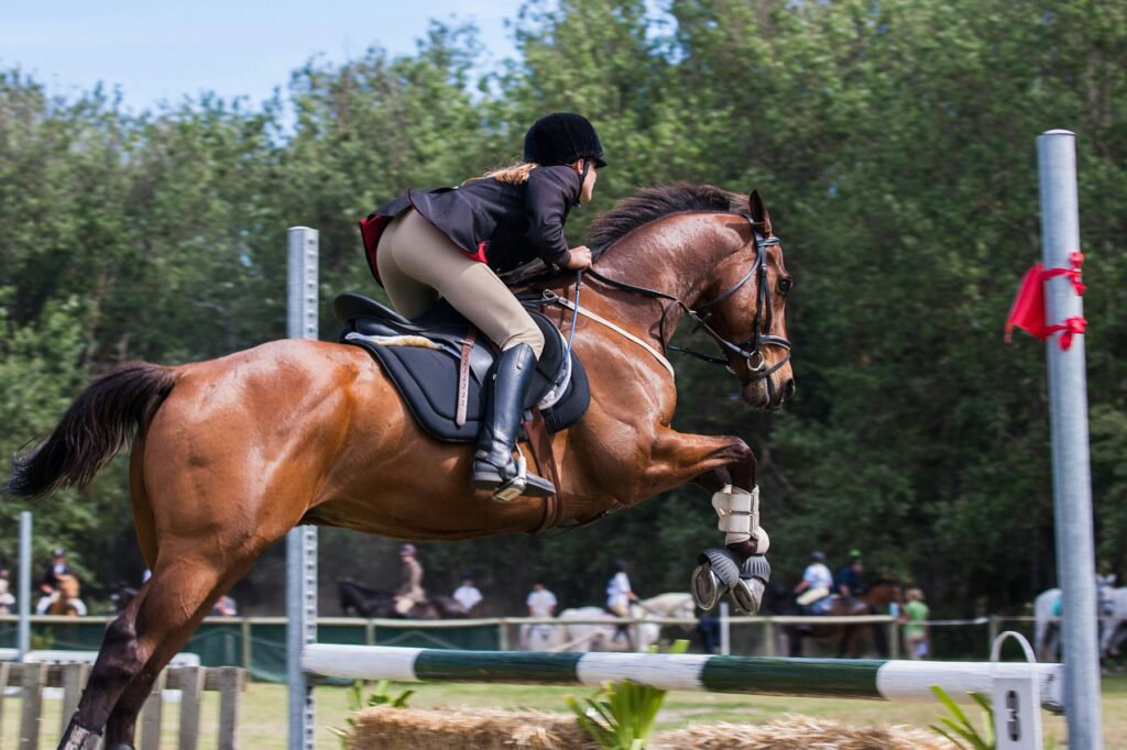 equitation premier sport feminin en france